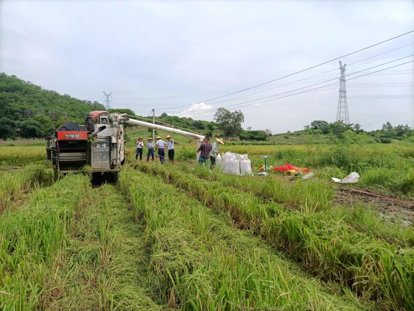 圖片3(1).png 圖片3(1).png